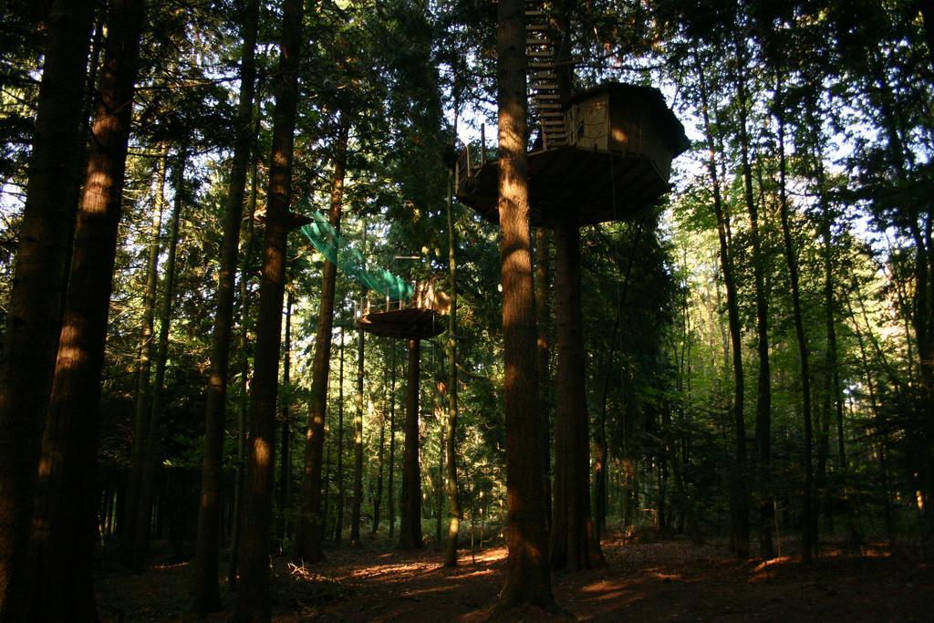 Insolite Dans Les Arbres Les Ormes, Epiniac Bed & Breakfast Exterior photo