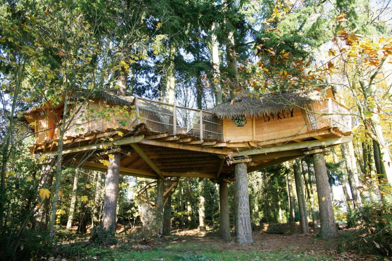 Insolite Dans Les Arbres Les Ormes, Epiniac Bed & Breakfast Exterior photo