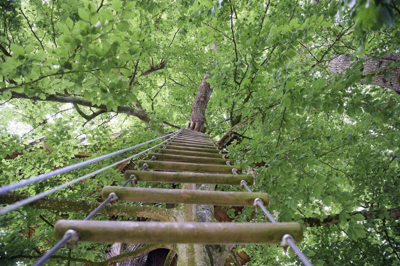 Insolite Dans Les Arbres Les Ormes, Epiniac Bed & Breakfast Exterior photo