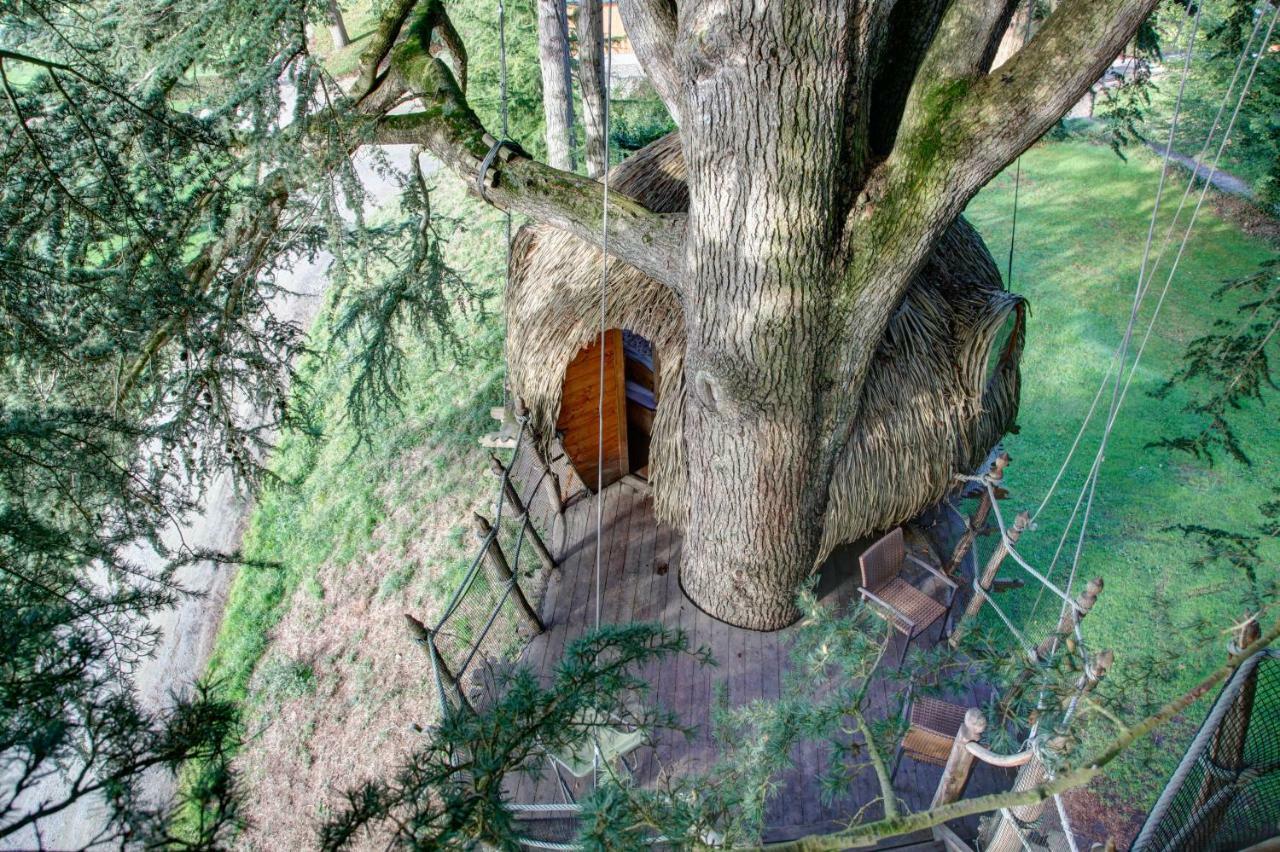 Insolite Dans Les Arbres Les Ormes, Epiniac Bed & Breakfast Exterior photo